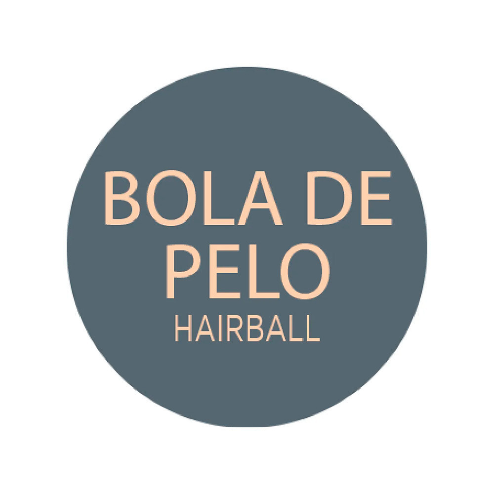 Detalhes do Ração Úmida GranPlus Gourmet Para Gatos Castrados Anti Bola de Pelo Patê Salmão 100g