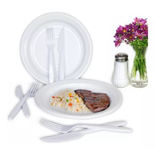 Kit Churrasco Descartável Branco Prato Talher Festa 20 Pessoas em Oferta na Shopee