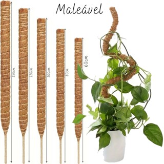 Tutor para Plantas Trepadeiras Fibra de Coco 60 80 100 120 150cm Flexivel em Oferta na Shopee