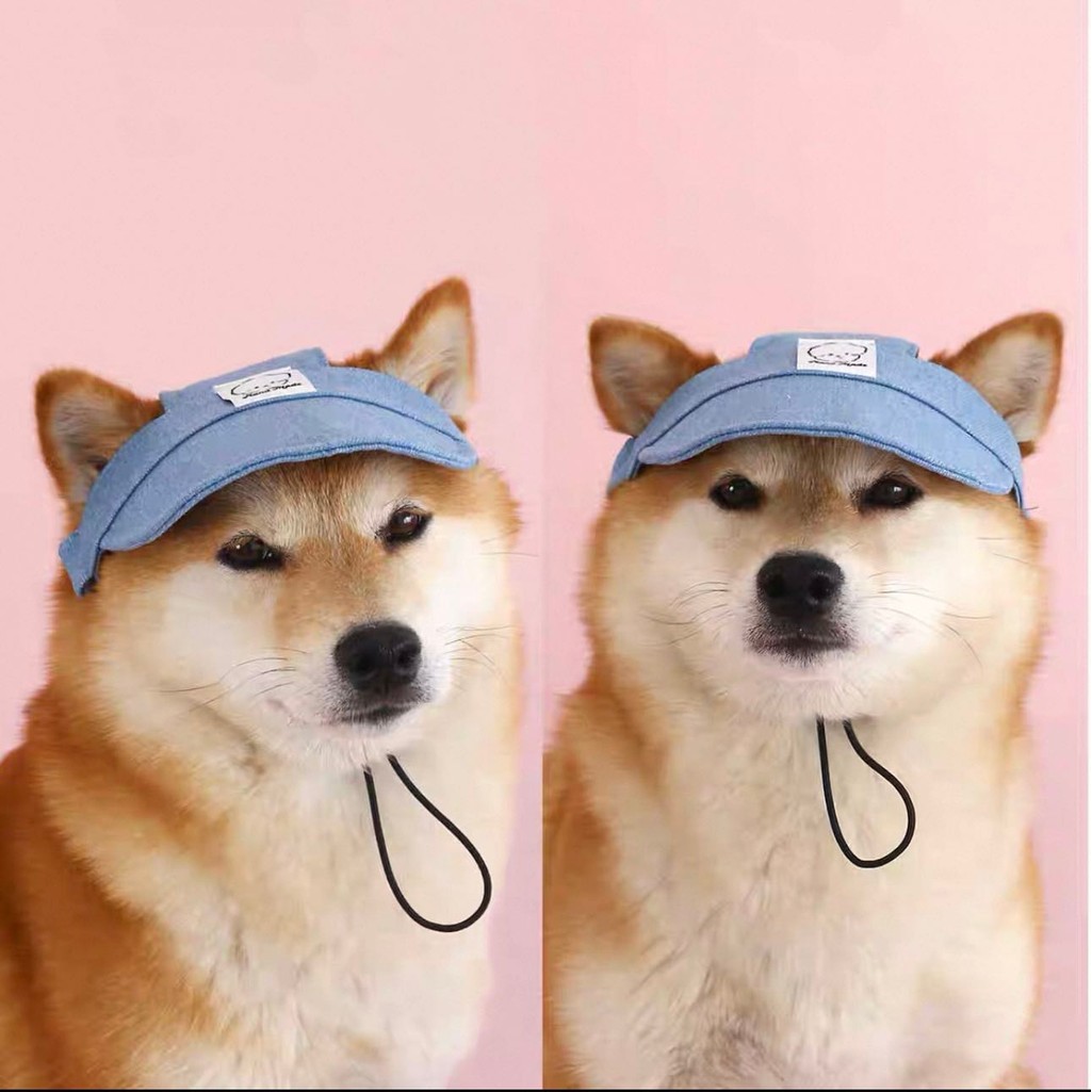 Chapéu De Guarda-Sol Para Animais De Estimação , Cães Com LISA JEANS , Boné Proteção UV Ajustável