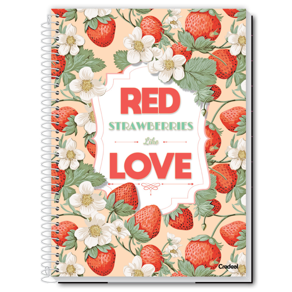 Caderno Universitário Capa Dura Espiral 16 Materias 224 Folhas My Collection Feminino Credeal Capas Sortidas.