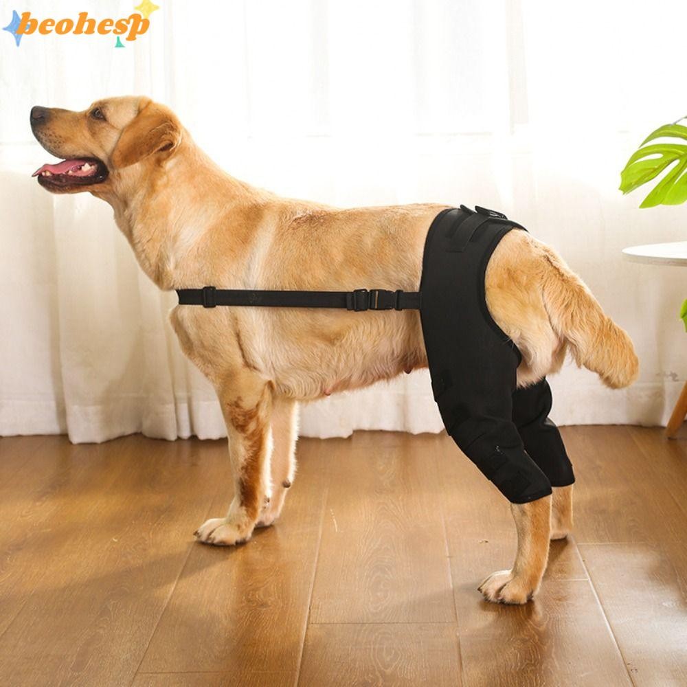 Suporte para pernas de cachorro, Joelheira Para, quadril, proteção, prevenção de feridas e reabilitação de ligamentos