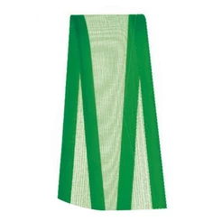 Fita Voal com Cetim Progresso 22mm nº5 - 10m Cor 217 Verde Bandeira - 01 unidade