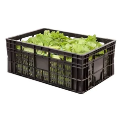 Caixa Bandeja Plástica Reforçada Agrícola Hortifruti Organizadora P/ Frutas Legumes Verduras
