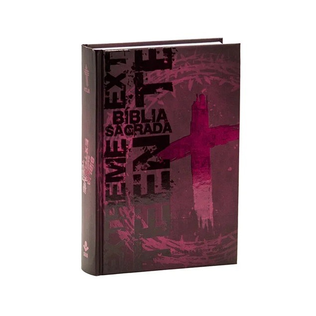 Bíblia Extreme Teen para Jovens e Adolescentes | NTLH | Capa Dura Vinho