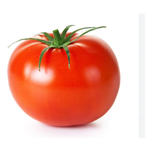 Semente Tomate Santa Cruz (ind) Hib Serrano F1