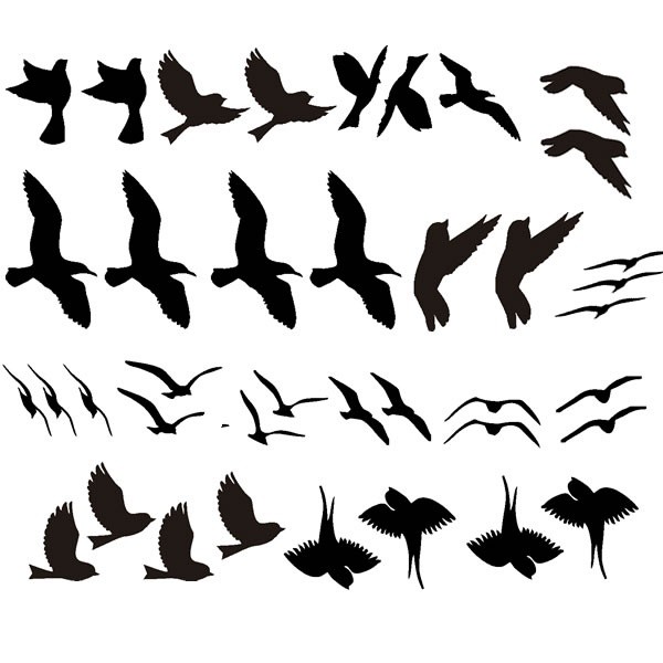 Adesivo Pássaros Gaivotas Sortidos 20 Unidades Pássaro vidro em Oferta na Shopee