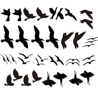 Adesivo Pássaros Gaivotas Sortidos 20 Unidades Pássaro vidro em Oferta na Shopee