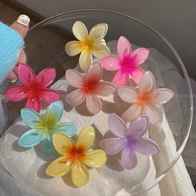 Kit com 06/12/24 peças presilias de cabelo de flor estilo de praia de verão em Oferta na Shopee