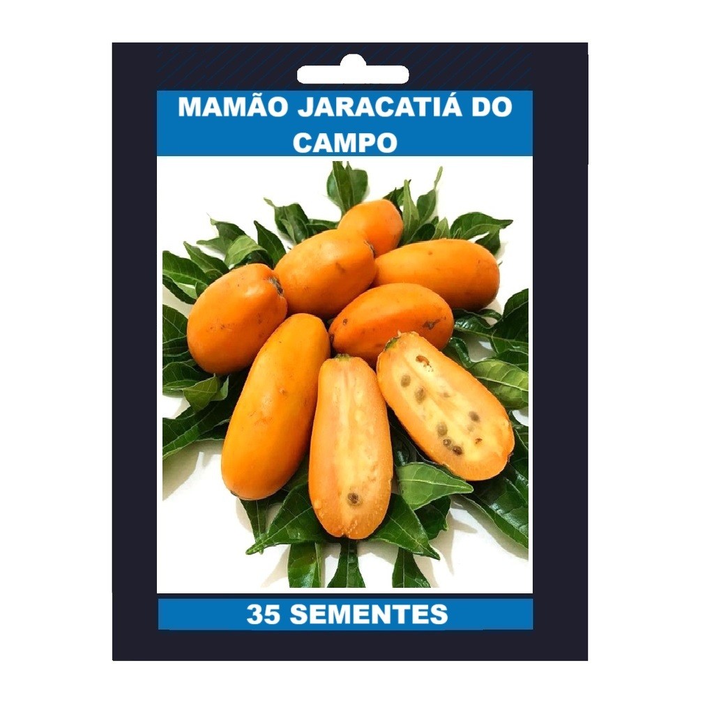 EXCLUSIVO 35 Sementes Rara De Mamão Jaracatiá Do Campo EXCLUSIVO