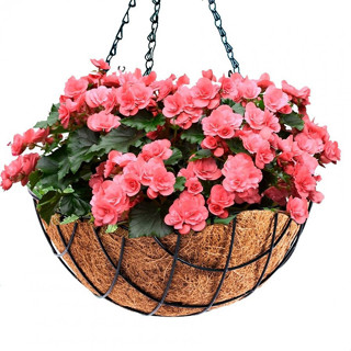 Vaso De Pendurar Hagra 40cm Pendente Ferro Fibra Coco em Oferta na Shopee