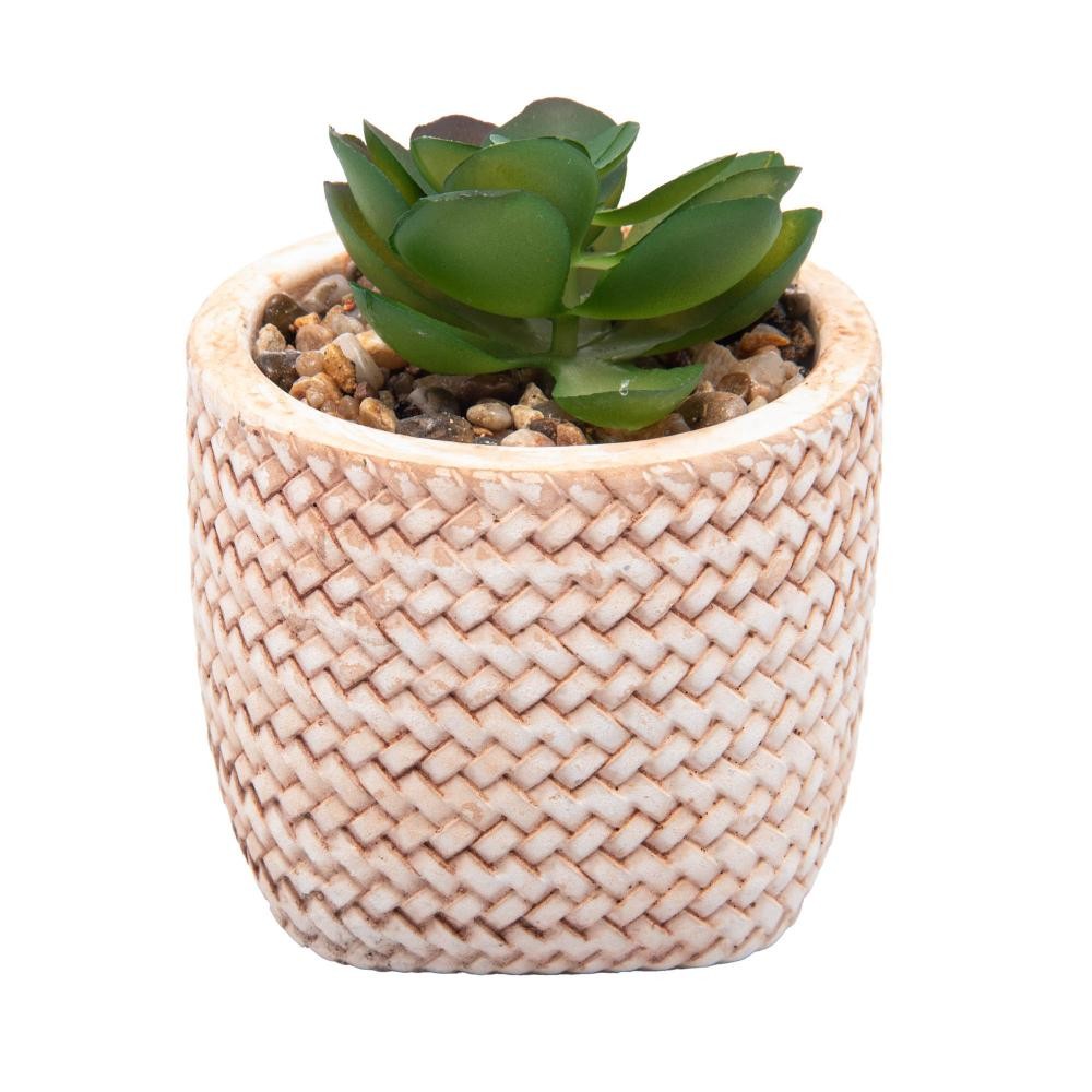 Cachepot Wolff de Cerâmica com Suculenta Trançado 7,5cm