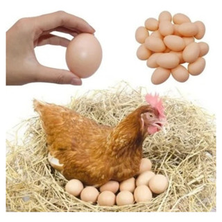 Kit 24 Ovos Falsos De Plástico Serve Para ajudar aumentar produção em Oferta na Shopee