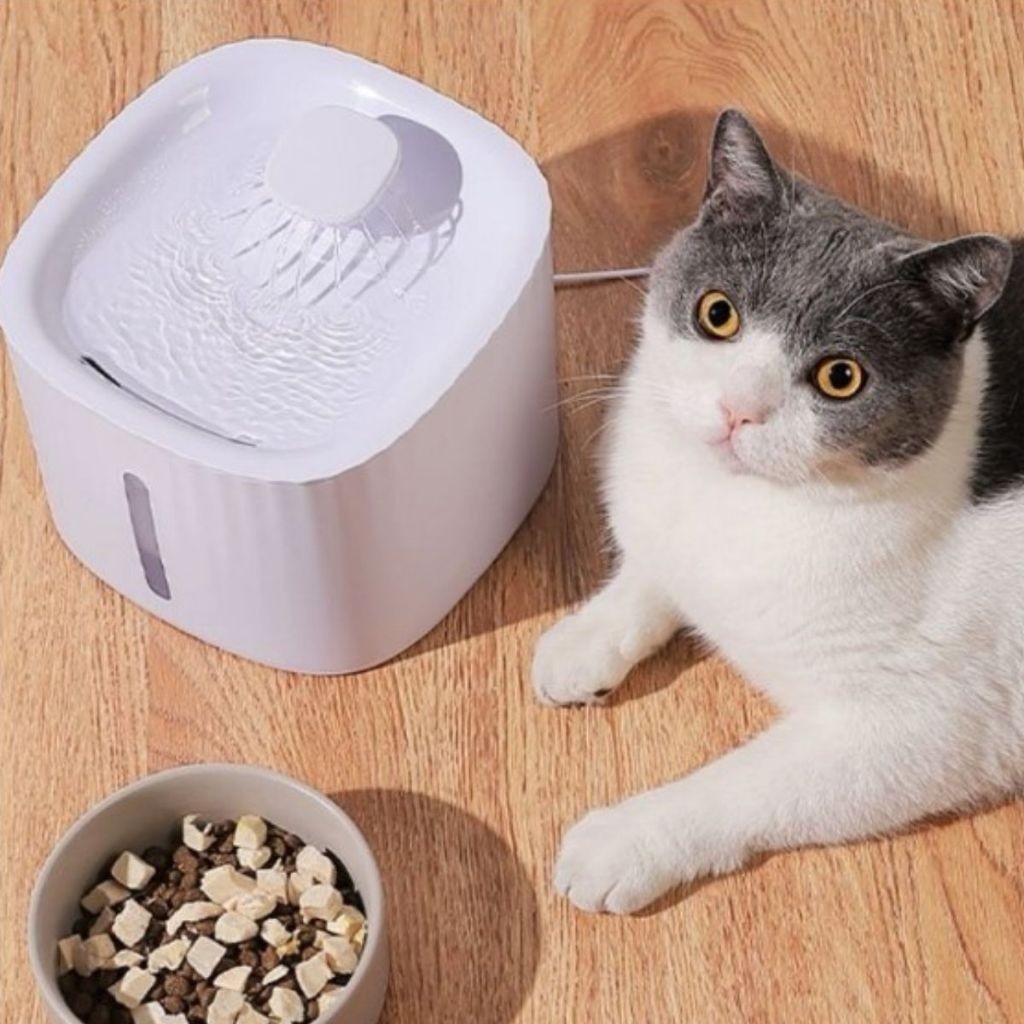 Bebedouro Fonte de Água Automático com Filtro para Gatos e Cachorros