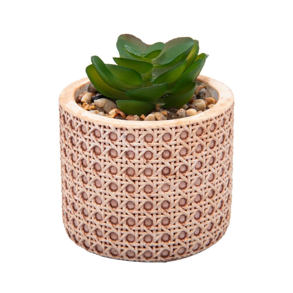 Cachepot Wolff de Cerâmica com Suculenta Treliça 7,5cm