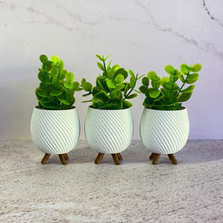 Kit com 3 Vasinhos Cachepot Decorativos enfeite para Plantas e Suculentas c Suporte Minimalista em Oferta na Shopee
