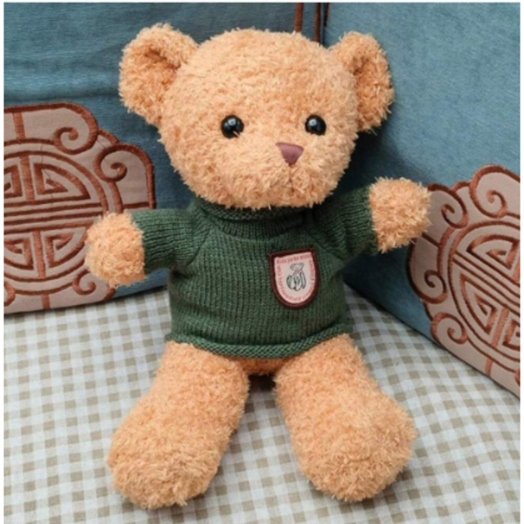 Urso de pelúcia Teddy de 10 polegadas com roupa removível, Bonito Presente de Graduação, em Oferta na Shopee