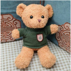 Urso de pelúcia Teddy de 10 polegadas com roupa removível, Bonito Presente de Graduação,