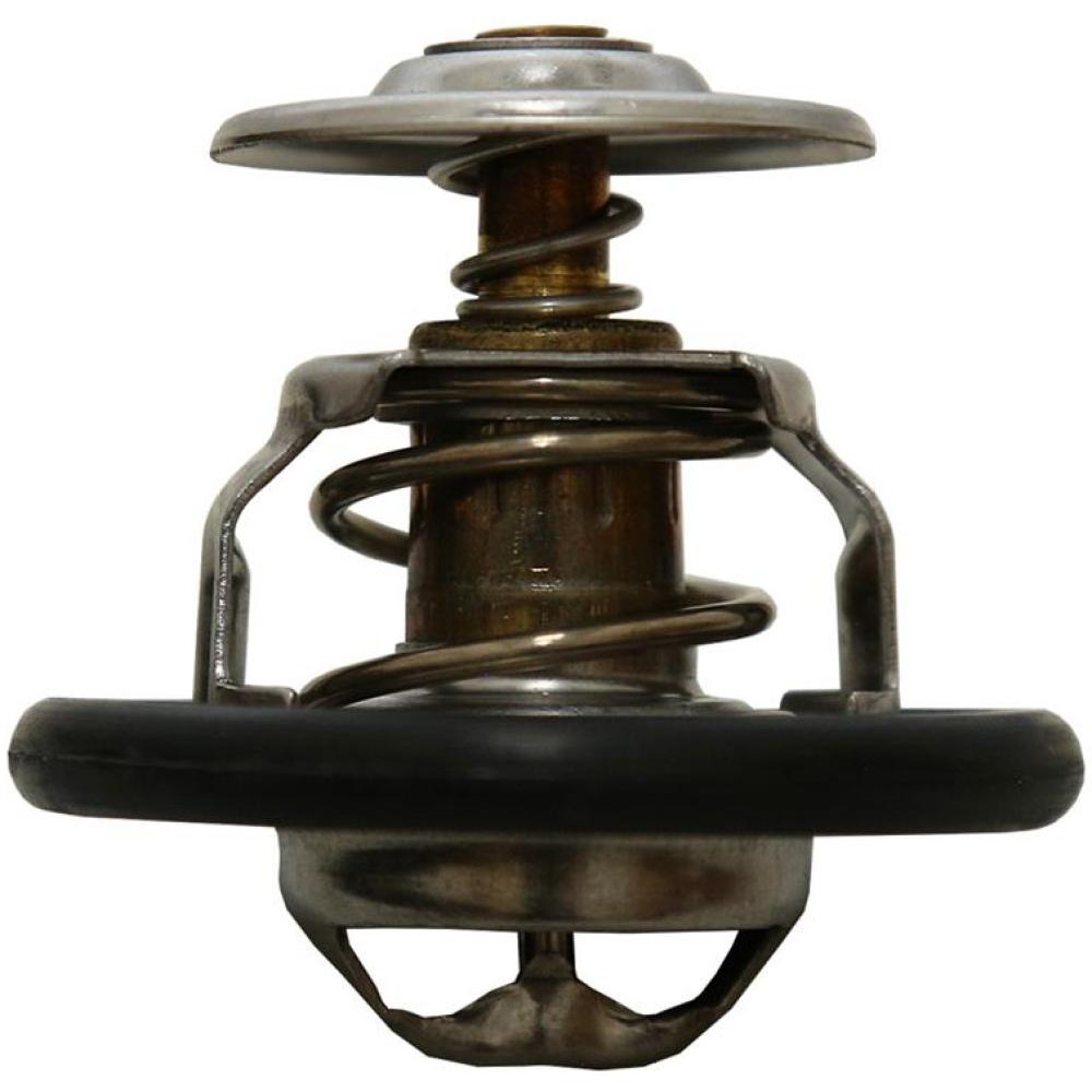 Válvula Termostática Focus 2000 a 2019 Mahle TX 419 88D