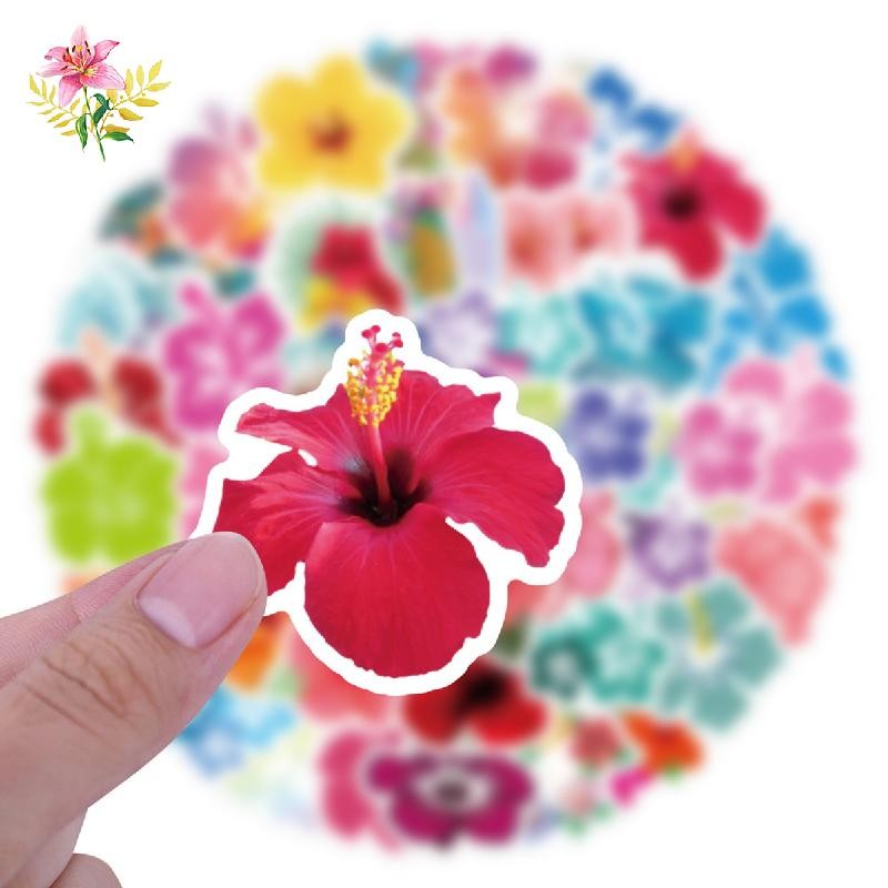 Adesivos para Mala Infantil: Onde Comprar | BuscaProdutos