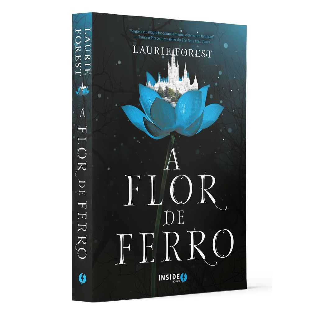 Livro A Flor de Ferro - Volume 2 (Crônicas da Bruxa Negra)