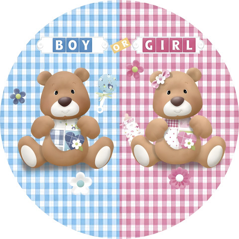 NOVO Painel Festa Infantil Redondo Chá de Revelação Ursinho e Ursinha, Fundo Xadrez Rosa e Azul + Arco, Suporte incluso. Fazemos personalizado com qualquer tema. Confeccionado em Lona fosca, impressão de alta resolução. cenário , p/ Decoração