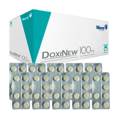 DoxiNew 100mg World para Cães de 20Kg e Gatos de 5Kg - 10 Blíster