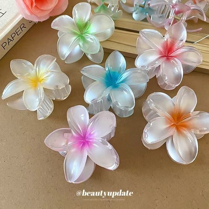 Kit 3/6/12 Presilha Flor verão grande piranha de cabelo prendedor / Grampo De Cabelo Flor De Feriado De Praia Barrettes em Oferta na Shopee