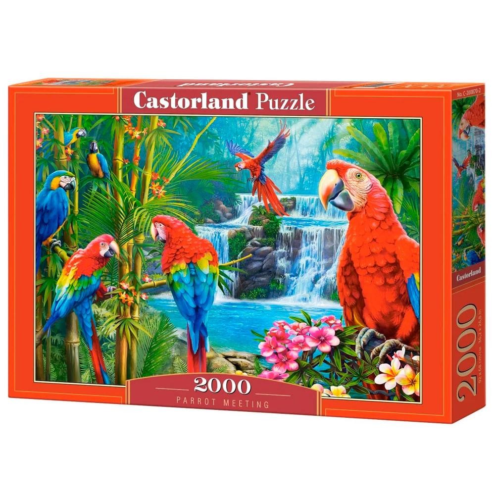 PuzPuzzle 2000 Peças Encontro das Aves - Castorland Importado 2008702 em Oferta na Shopee