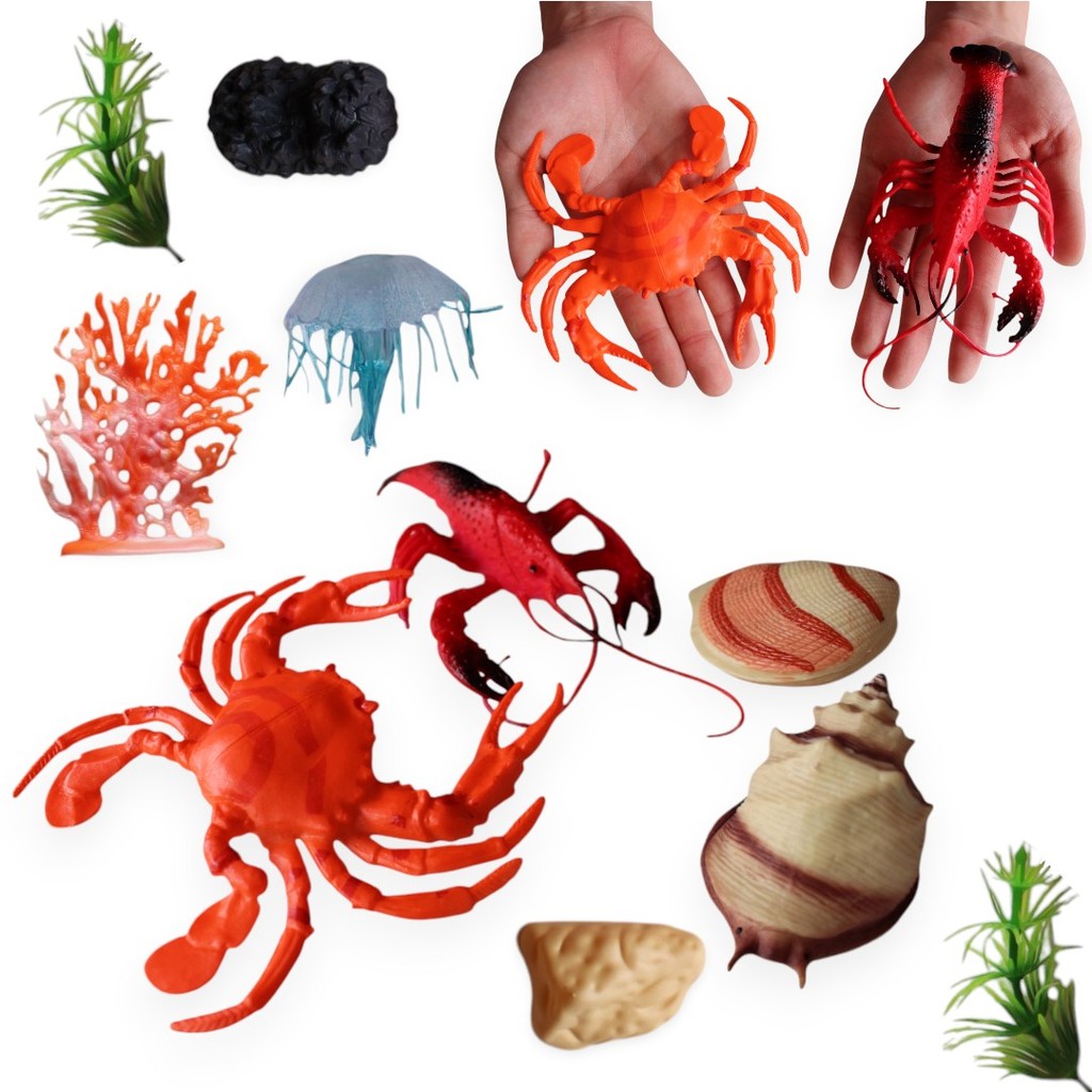 Animais Aquáticos Marinhos fundo do Mar 10 Peças  Brinquedo em Oferta na Shopee