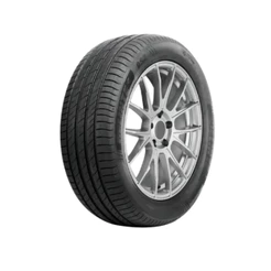 Pneu Delinte Aro 16 205/55 ZR16 94W XL DS2
