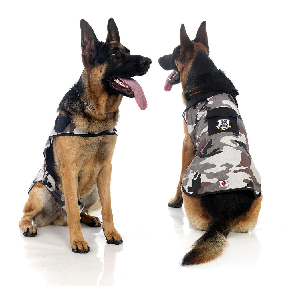 Fantasia Pet Camuflado Poliester Para Cachorros Abrakadabra - Pets