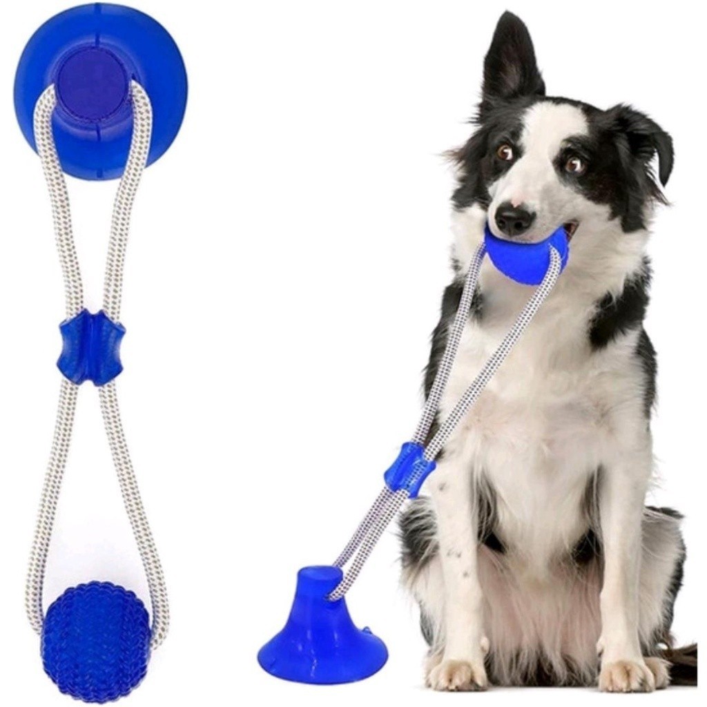 Brinquedo interativo Mordedor Pet Limpa Dentes- Gruda no Chão com Ventosa- Cabo de Guerra
