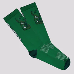 Meia Palmeiras Gobatto Performance Verde