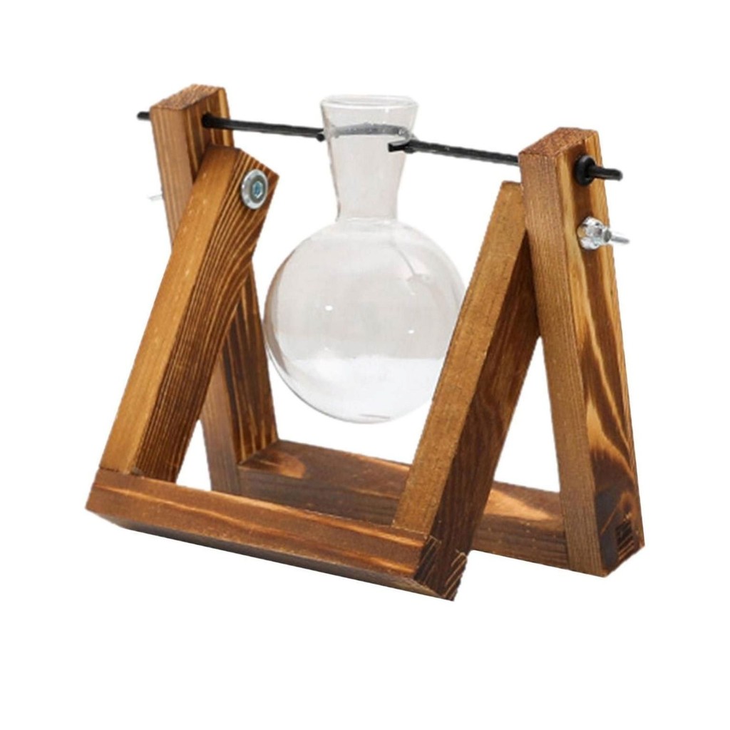 Bulbo Terrario Vidro: Onde Comprar | BuscaProdutos