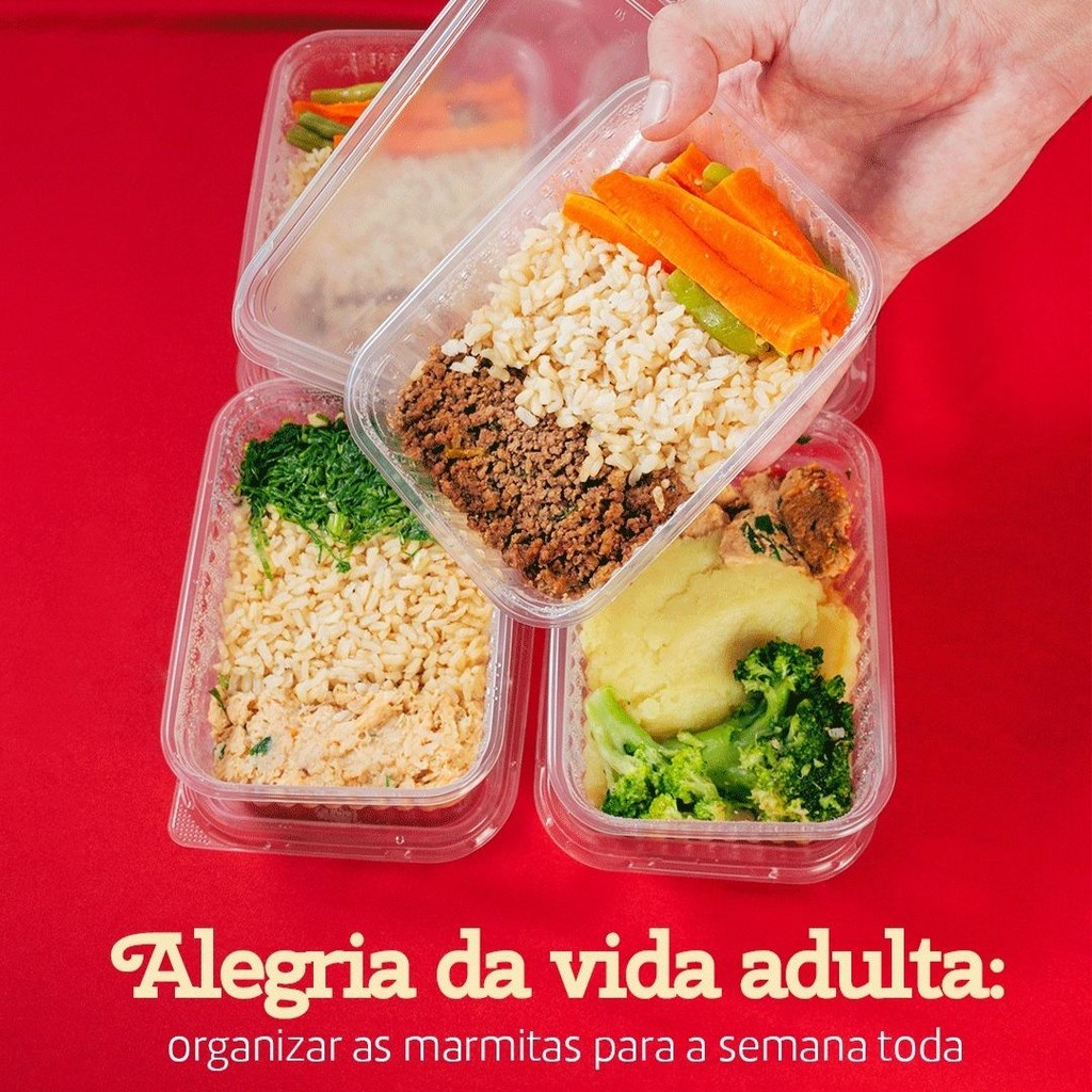 24~120 POTES RETANGULAR 250 ML MARMITINHA  FREZER MICROONDAS (PRAFESTA)