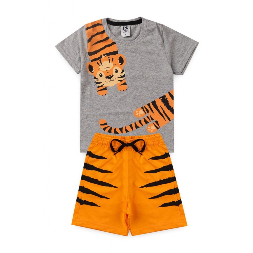 Conjunto Masculino Infantil Tigrinho Mescla