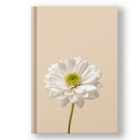 Bíblia Feminina Delicada Com Fitilho Letra Grande Capa Dura Com Harpa E Corinhos Fundo Rose Simples 023 em Oferta na Shopee