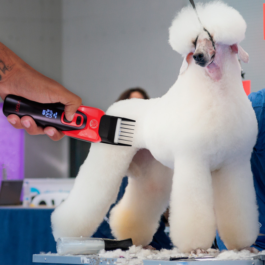 Máquina de tosa P/ Pets Profissional VGR OIV-208 USB 110/220V lâminas de cerâmica e Led - Aleatório em Oferta na Shopee