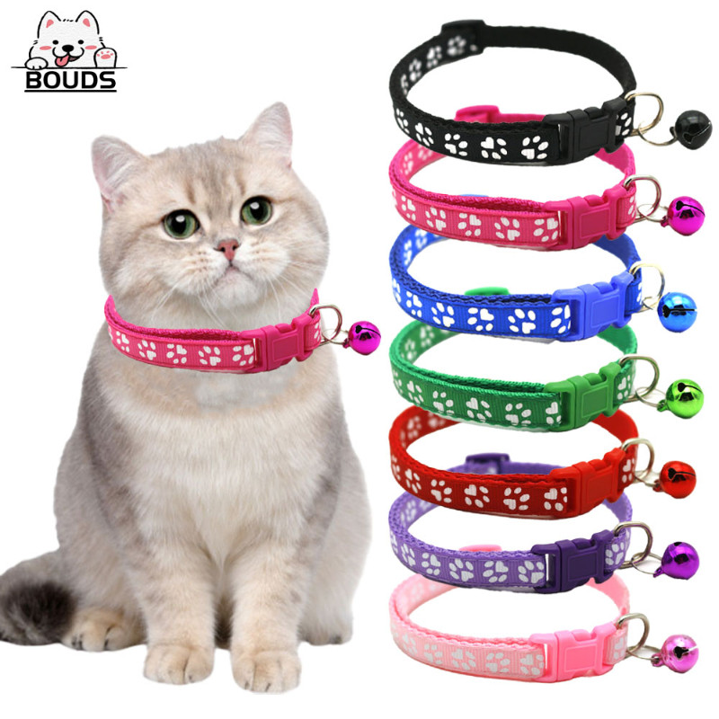 O que é Pegada Animal? Guia e Onde Comprar | BuscaProdutos