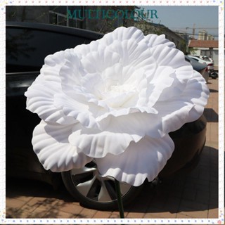 Flor De Peônia De Simulação Multicolorida , Artificial PE 40/50 Cm , Flores Falsas De Exibição De Janela Gigante em Oferta na Shopee