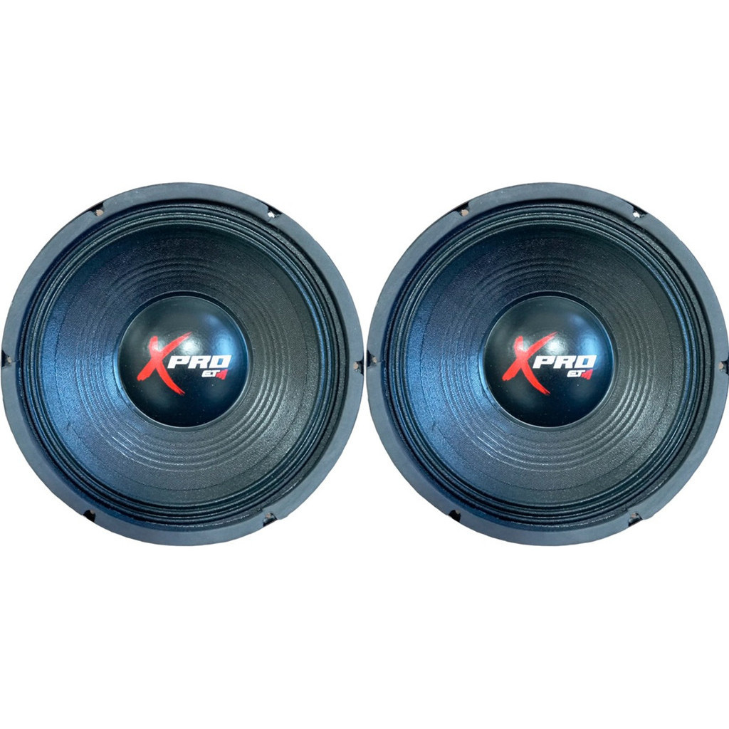 PAR 2 ALTO FALANTE WOOFER ETM EXP 10 POLEGADAS LT 250W 4 OHMS