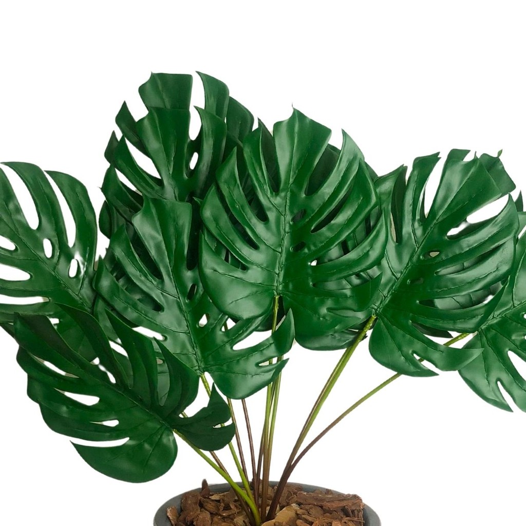 Kit 6 Folhas Costela De Adão Grande complemento P/ Arranjos decoração