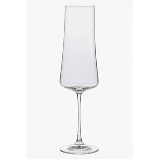 Taça de Cristal Champanhe Bohemia 210ml - XTRA NDI em Oferta na Shopee