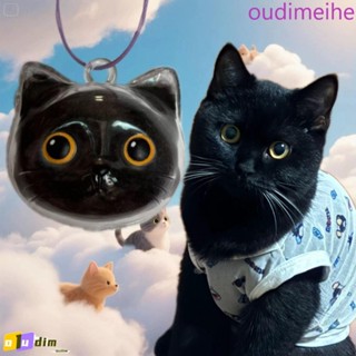 Chaveiro Acrílico De Cabelo De Gato OUDIMEIHE , Caixa Transparente De Armazenamento De Pêlos Siamês , Formato De Animal em Oferta na Shopee