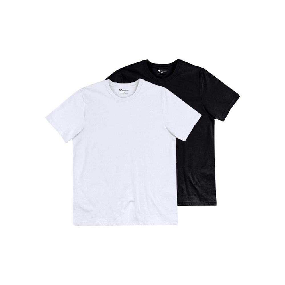 Kit com 2 Camisetas Masculina Hering 201