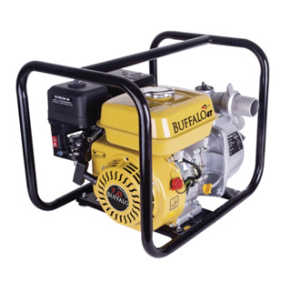 Motobomba Auto Escorvante Bfg Buffalo 2 Pol Partida Manual 7cv em Oferta na Shopee