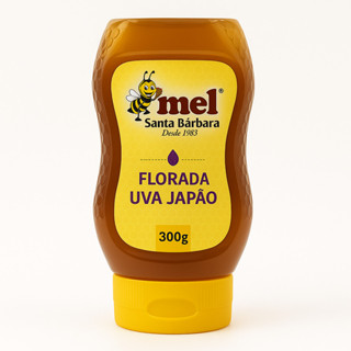 Mel Bisnaga 300g FLORADA DE UVA JAPÃO – Mel Puro e Natural | Tampa Corta-Gotas | Sabor Suave em Oferta na Shopee