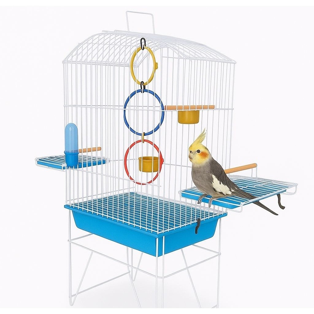 Gaiola Calopsita Mansa Pássaros Aves Maritaca Luxo Teto Aramado Psitacideos em Oferta na Shopee