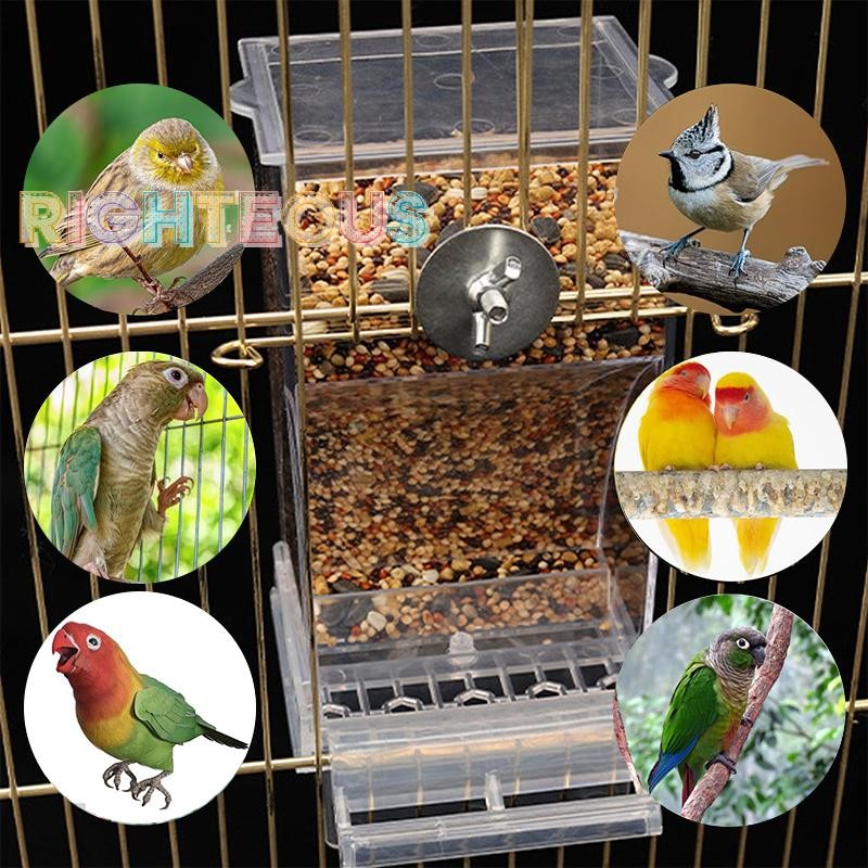 O que é Tigela Acrílico Transparente? Guia e Onde Comprar | BuscaProdutos